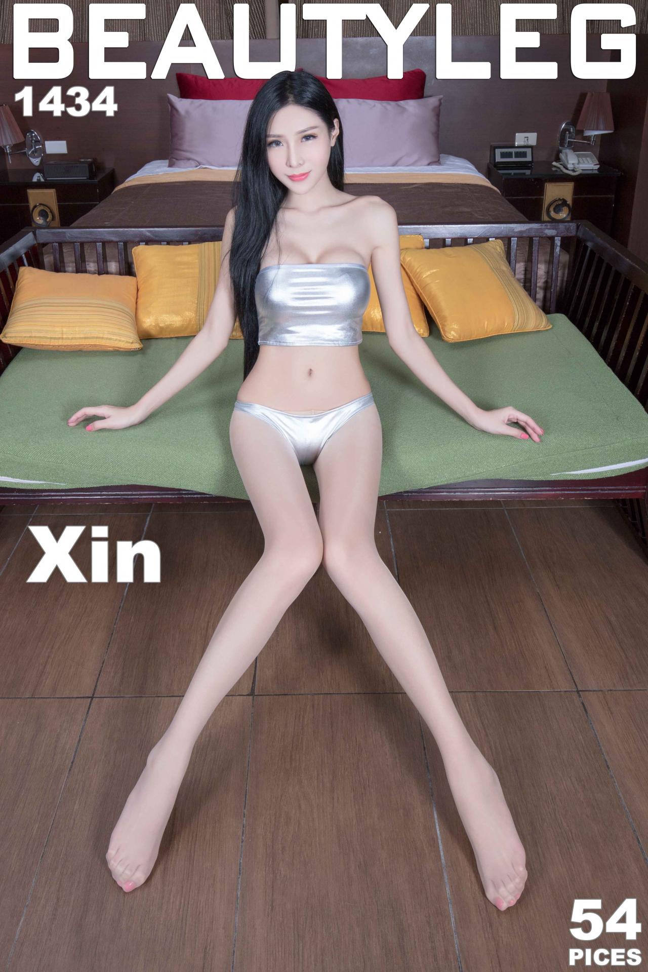 [Beautyleg] 美腿寫真 2017.04.10 No.1434 Xin [54P305M]